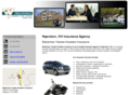 napoleoninsuranceagencies.com