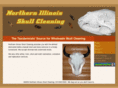 skullcleaner.com