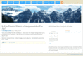 thinkbigconsultinginc.com