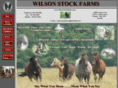 wilsonstockfarms.com