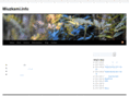 mizukami.info