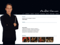 andreganea.com