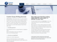 custom-essays.biz
