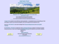 vantagepointcoaching.com