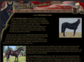 candcperformancehorses.com