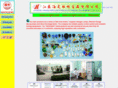 cn-light.com