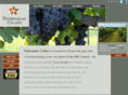 pedernalesvineyard.com