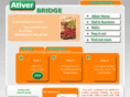 ativerbridge.com