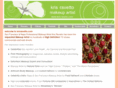 krisravetto.com
