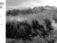 rowengrant.com