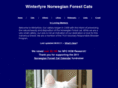 winterfyre.com