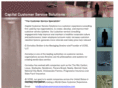 capitalcustomerservicesolutions.com