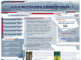 a3netconsultants.com