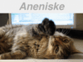 aneniske.org