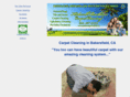 carpetcleaningbakersfield.com