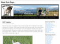 bestgundogs.com