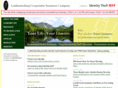 leatherstocking-idtheft.com