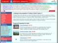 turkishestateagents.com
