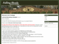 fallingshoals.com