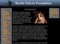 merlinfalconfoundation.com