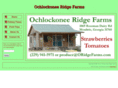 oridgefarms.com