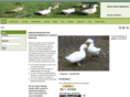 duckloversadoption.org