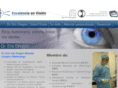 excelenciaenvision.com