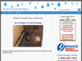 floodcleanupmichigan.com