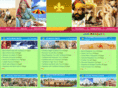 holidaytours4india.com