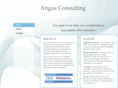 angusconsulting.com