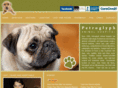 animalsurgery.com