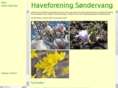 sondervang.info