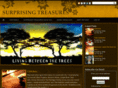 surprisingtreasures.com