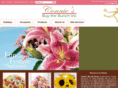 conniesbuythebunch.com