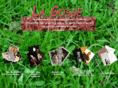 lagosse.net