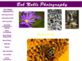 bobnoblephotography.com