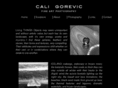 caligorevic.com