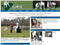cjrtc.com