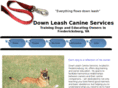 downleash.com