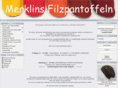 filzhausschuh.com