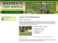 treeserviceofpa.com