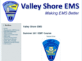 vsems.com