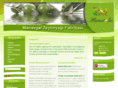 manavgatzeytinyagi.com