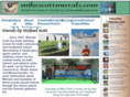 muralsandmutts.com