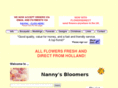 nannys-bloomers.com