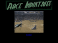raceindustries.com