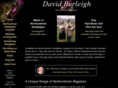 burleighsmallpipes.com