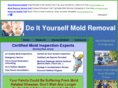 doityourselfmoldremoval.com