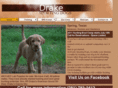 drakesportingdogs.com