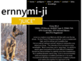 ernnymiji.com